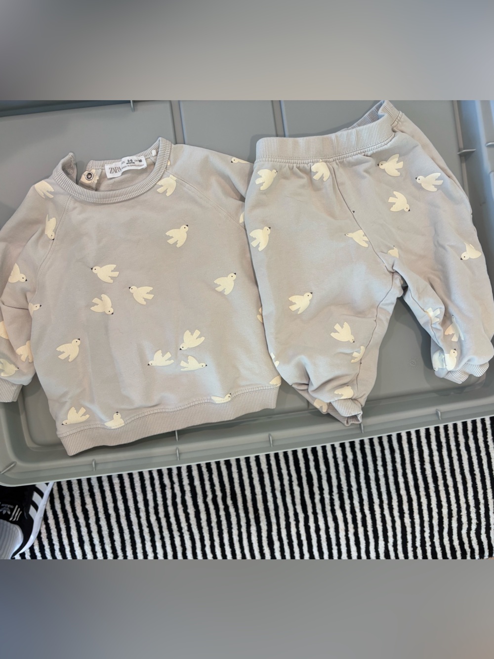 Zara Light Blue Bird Print Sweat Set